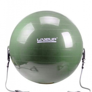 جیم بال دسته دار مدل 702