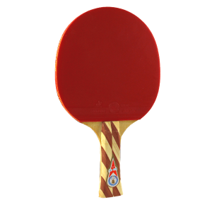 راکت پینگ پنگ کد RS2