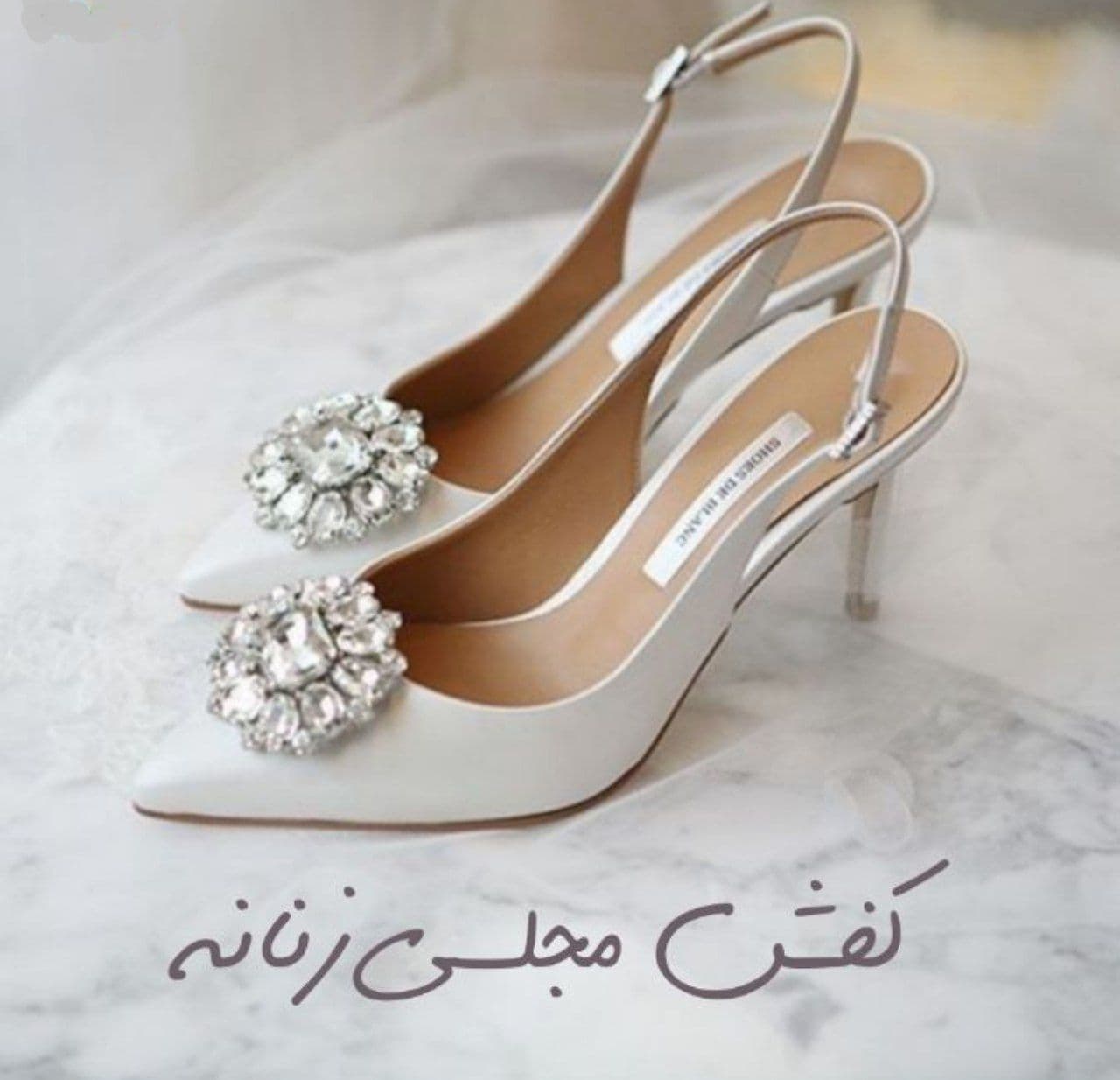 مجلسی  زنانه