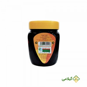 موارد مصرف شیره خرما سولار سنتی ( Solar Date Syrup )