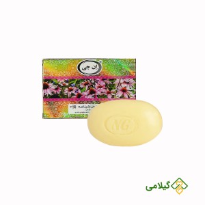 صابون ضد قارچ اکیناسه ان جی ( NG Echinacea Soap )