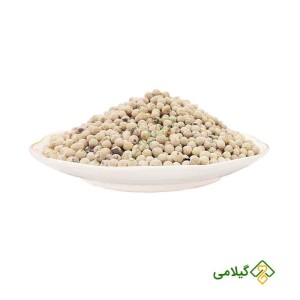فلفل سفید دان گیلامی