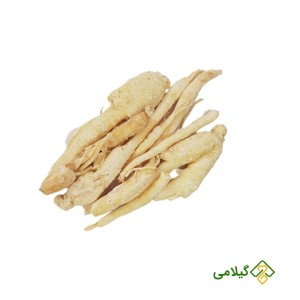ریشه جینسینگ سفید (White Ginseng)
