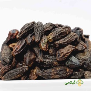 قیمت و خرید امن هلیله سیاه گیلامی (Gilamie Terminalia Chebula)