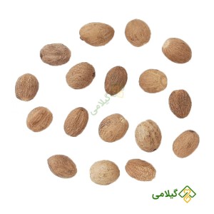 قیمت و خرید جوز هندی گیلامی (Gilamie Nutmeg)