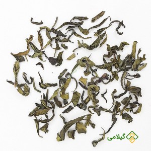 چای سبز گیلامی (Gilamie Green Tea )