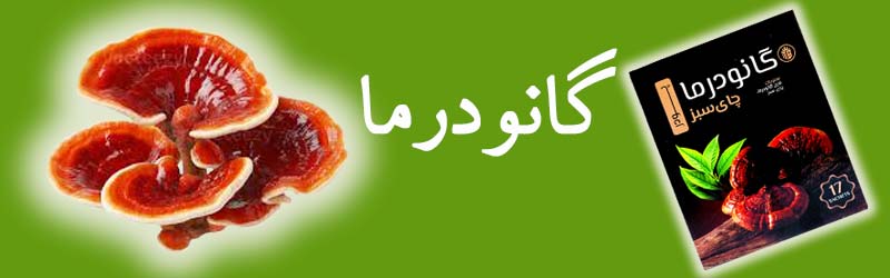 گانودرما