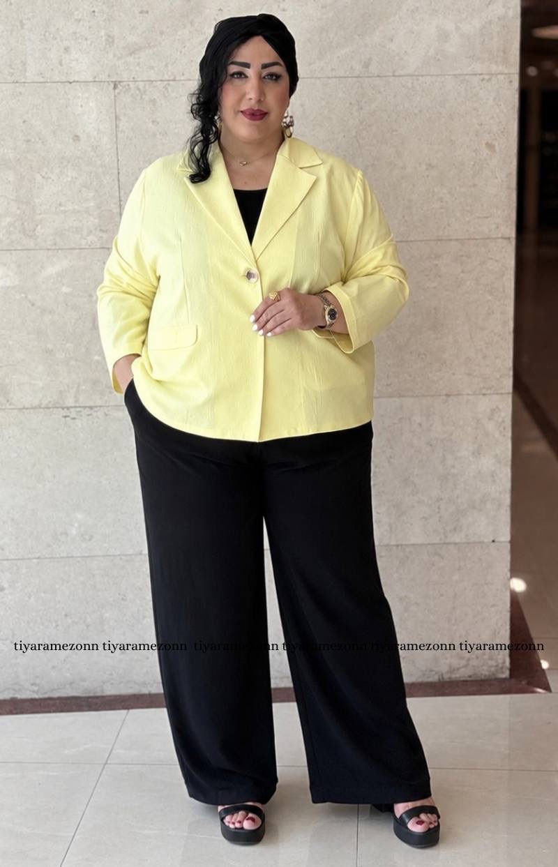 کراپ کت سایزبزرگ  مدل لینن 20 کد 560