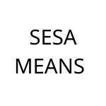 سسا مینز  ( کپی)