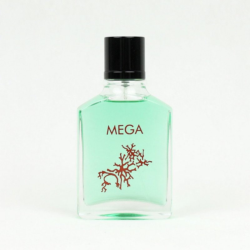 عطر و ادکلن پاییزه مگاماره | Megamare