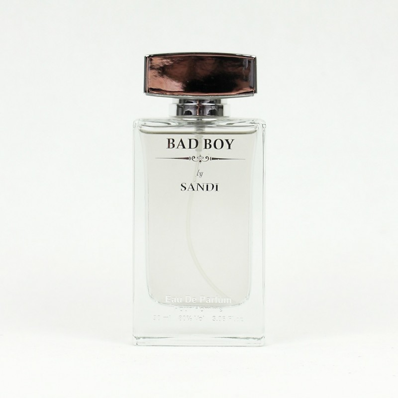عطر و ادکلن پاییزه بد بوی  |‌ BAD BOY