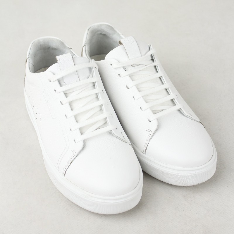 کفش مردانه ونس ecco