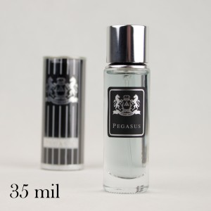 عطر و ادکلن مردانه مارلی پگاسوس | parfums de marly pegsaus