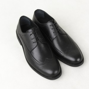 کفش مردانه مدل هشترک از برند KITE