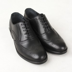 کفش مردانه هشترک HORN