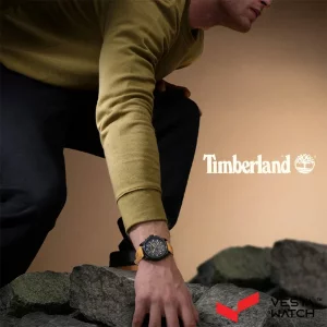 ساعت مچی مردانه تیمبرلند TIMBERLAND مدل TDWGB0056003