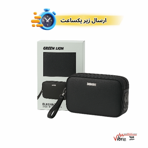 کیف دستی اکسسوری با قفل هوشمند گرین لاین Green Lion Elegant Smart Security Pouch