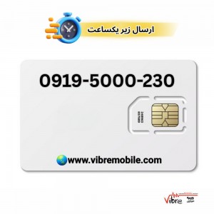 فروش سیم کارت با شماره  230 5000 919