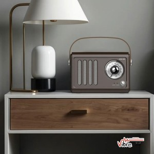 اسپیکر بلوتوثی و رادیو گرین لاین Vintage Radio Speaker – مشکی