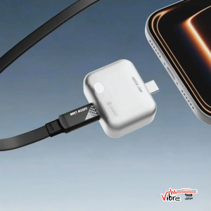 محافظ شارژ هوشمند گرین لاین با قطع خودکار مدل Green Lion Auto-Disconnect Smart Charger