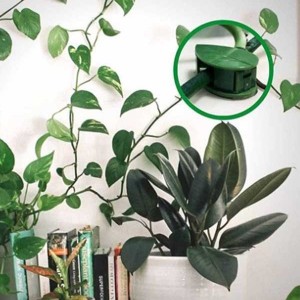 گیره نگهدارنده گل و گیاه