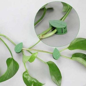 گیره نگهدارنده گل و گیاه