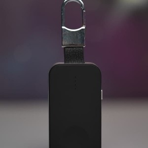 پاوربانک جاسوئیچی