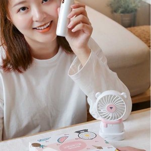 ست دستگاه مرطوب‌کننده صورت | 800mAh با مه‌پاش و پنکه