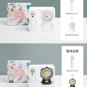 ست دستگاه مرطوب‌کننده صورت | 800mAh با مه‌پاش و پنکه