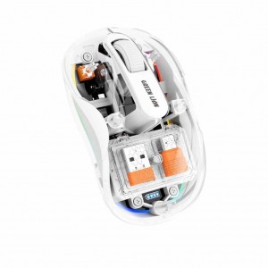 موس بی‌سیم شارژی گرین لاین مدل Turtle | طراحی شفاف با RGB و سنسور اوپتیکال