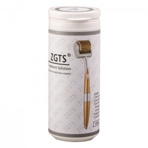 ماساژور ZGTS مدل درمارولر سایز 2.5