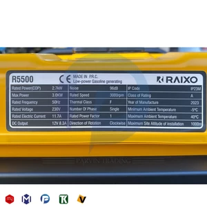 موتور برق راکسیو مدل RAIXO R5500