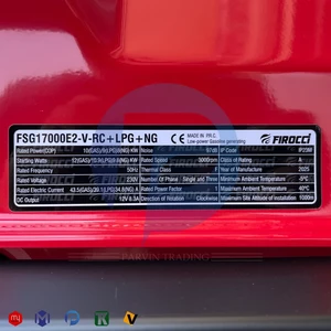 موتور برق سه گانه سوز فیروچی 12 کیلووات مدل FSG17000E2-V-RC+LPG+NG ریموت دار
