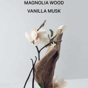بادی میست پرفیومی Victoria’s Secret مدل Bare Magnolia