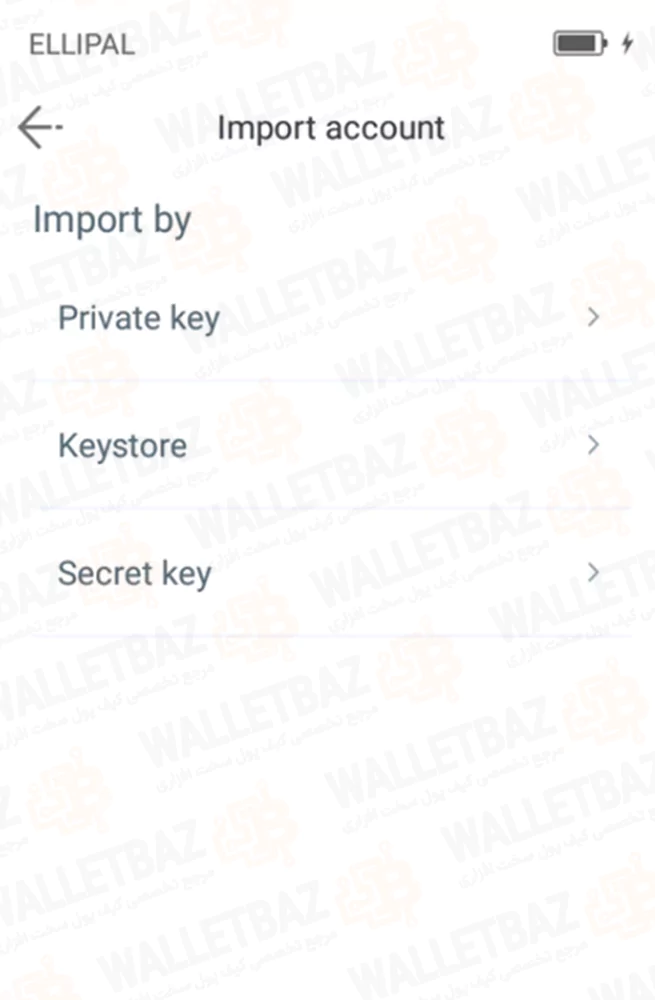 Importing wallet on ellipal app