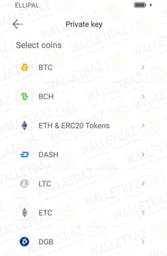 Importing wallet with private key on ellipal app