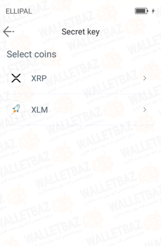 Importing wallets with secret keys on ellipal app