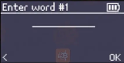 Entering words in safepal x1