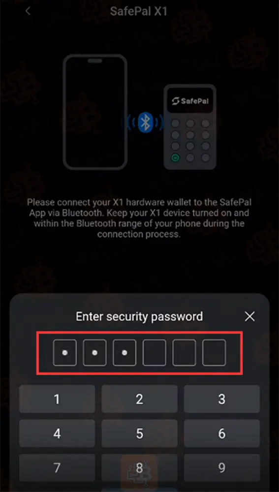 entering security password on safepal app