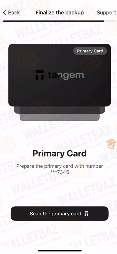 scanning primary card