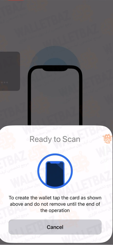 Scan screen on tangem app