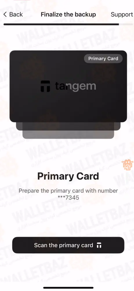 scanning the primary tangem card