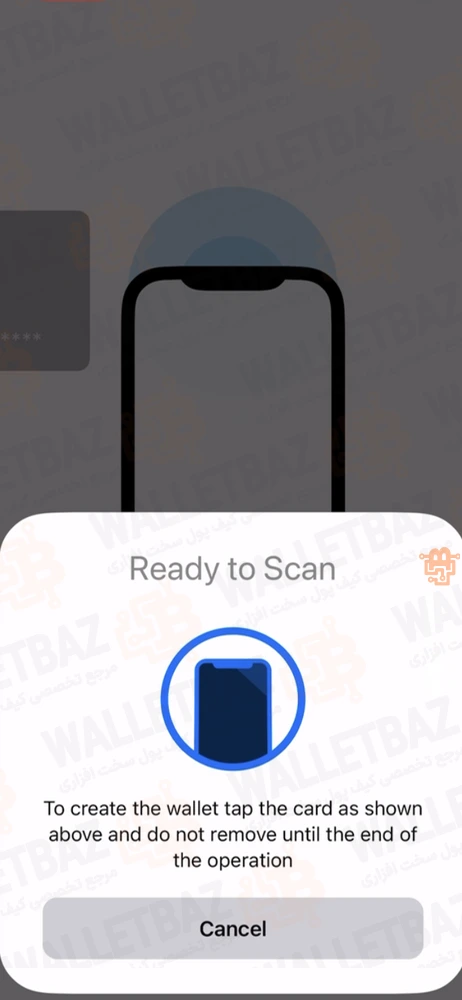 scanning screen on tangem app