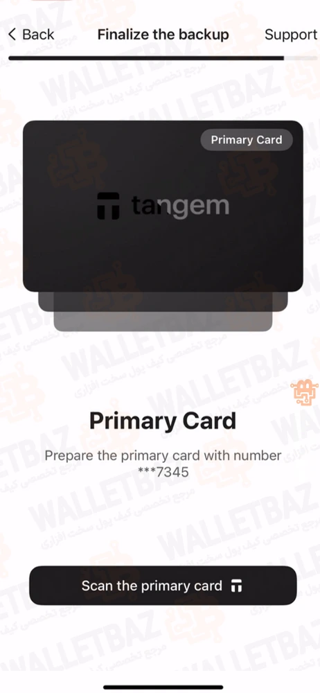 scanning the primary card