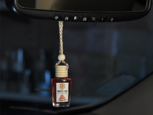 خوشبوکننده خودرو با رایحه هندوانه تام کلین Tom Klein TC-FI10NWP Watermelon Car Air Freshener