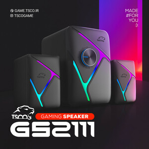 اسپیکر دسکتاپ تسکو مدل GS 2111