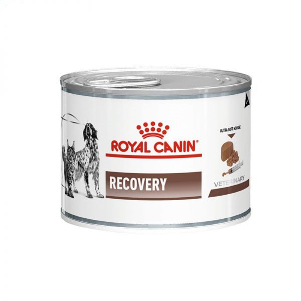 کنسرو ریکاوری رویال کنین سگ و گربه _ RoyalCanin Recovery Cat & Dog