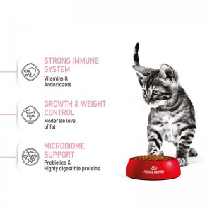 غذای خشک بچه گربه عقیم شده رویال کنین Royal Canin Kitten Sterilised وزن 1 کیلوگرم