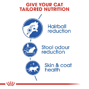 غذای خشک گربه رویال کنین Royal Canin Indoor Home Life Long Hair وزن 2 کیلوگرم