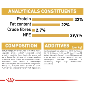 رویال پرشین کیتن